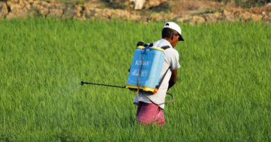 India’s Regulatory Action on Carbosulfan ‘Borrowed Alarm’ or Shared Scientific Evidence
