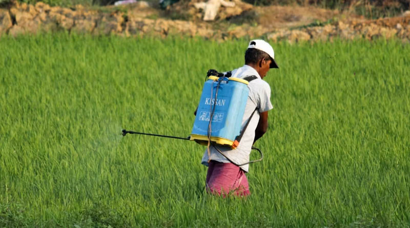India’s Regulatory Action on Carbosulfan ‘Borrowed Alarm’ or Shared Scientific Evidence