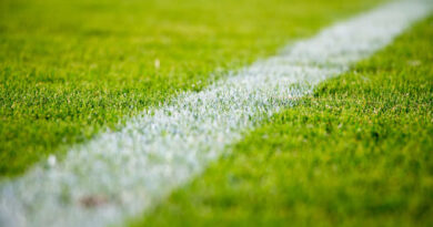India’s Sporting Growth Boosts Demand for Water-Efficient Turf Management
