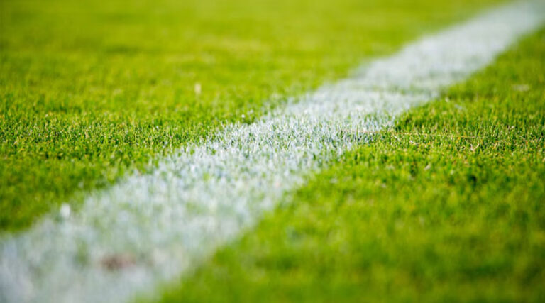 India’s Sporting Growth Boosts Demand for Water-Efficient Turf Management
