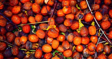 Indonesia Pushes Palm Oil Exports Toward Full State Control by 2027 Indonesia Pushes Palm Oil Exports Toward Full State Control by 2027