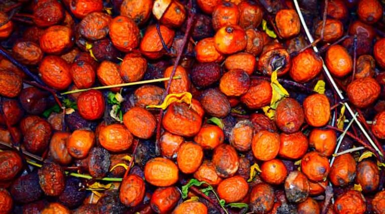 Indonesia Pushes Palm Oil Exports Toward Full State Control by 2027