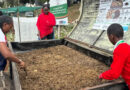 International Day of Awareness of Food Loss and Waste Rethinking Food Loss and Waste