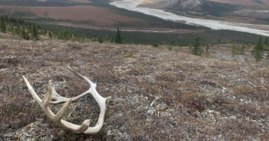 International Review Reveals Importance Of Hidden Arctic Root Processes For Climate Change International Review Reveals Importance Of Hidden Arctic Root Processes For Climate Change