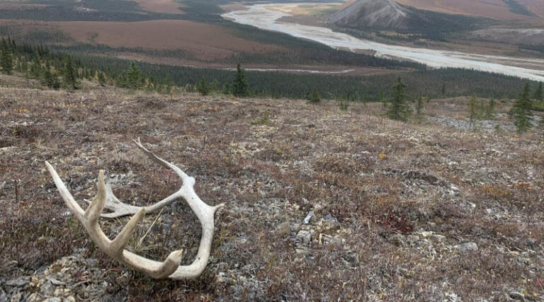International Review Reveals Importance Of Hidden Arctic Root Processes For Climate Change