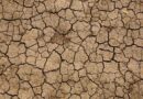 Karnataka's Drought Crisis Deepens as Crop Losses Approach Rs 46,000 Crore