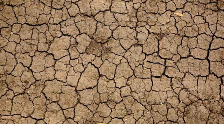 Karnataka's Drought Crisis Deepens as Crop Losses Approach Rs 46,000 Crore
