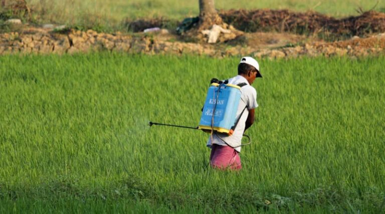 Madhya Pradesh Enforces Centre's Paraquat Dichloride Ban, Orders Stock Recalled and Destroyed