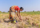 Maharashtra Drought Deepens, Statewide Water Cuts Begin October 16
