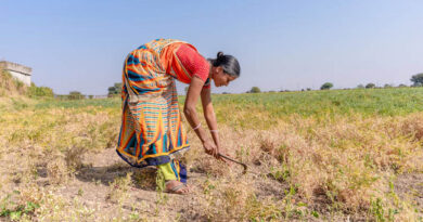 Maharashtra Drought Deepens, Statewide Water Cuts Begin October 16 Maharashtra Drought Deepens, Statewide Water Cuts Begin October 16