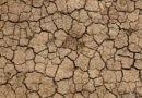 Maharashtra's Early Monsoon Exit Confirms Drought Across 265 Talukas