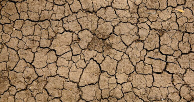 Maharashtra's Early Monsoon Exit Confirms Drought Across 265 Talukas Maharashtra's Early Monsoon Exit Confirms Drought Across 265 Talukas