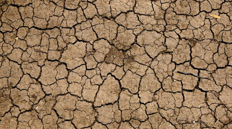Maharashtra's Early Monsoon Exit Confirms Drought Across 265 Talukas