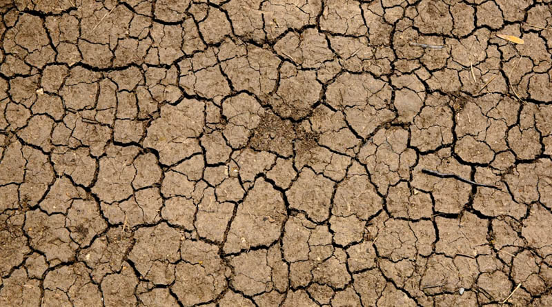 Maharashtra's Early Monsoon Exit Confirms Drought Across 265 Talukas