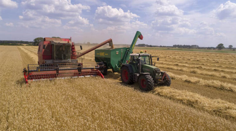 NGO Report Says Pesticide Industry Language Appears Almost Verbatim in EU Lawmakers' Draft Reform