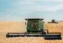 New Model Shows Climate Risk to Wheat Yields Is Worse Than Thought