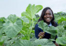 Pamela Afokpe Wins 2026 Borlaug Field Award for Advancing African Indigenous Vegetables