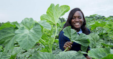 Pamela Afokpe Wins 2026 Borlaug Field Award for Advancing African Indigenous Vegetables