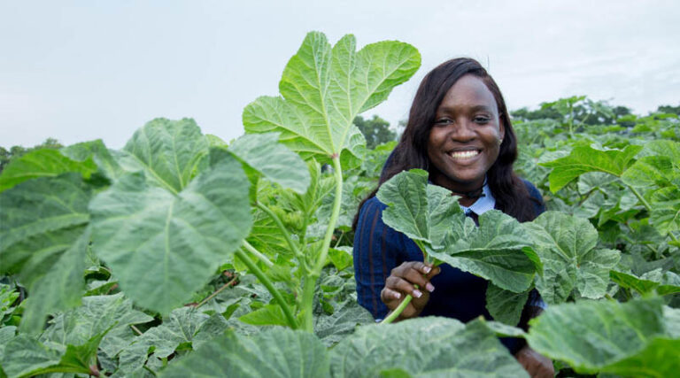 Pamela Afokpe Wins 2026 Borlaug Field Award for Advancing African Indigenous Vegetables
