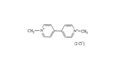 Paraquat Dichloride Ban in India: Key FAQs for the Agrochemical Industry Paraquat Dichloride Ban in India Key FAQs for the Agrochemical Industry