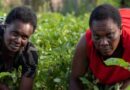 Pressure On Global Food Systems Risks Exacerbating Gender Gap By 2050 Without Targeted Interventions, Finds New Report