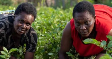 Pressure On Global Food Systems Risks Exacerbating Gender Gap By 2050 Without Targeted Interventions, Finds New Report