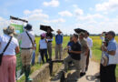 Regional Experts Explore Climate-Smart Rice–Potato Production in Vietnam