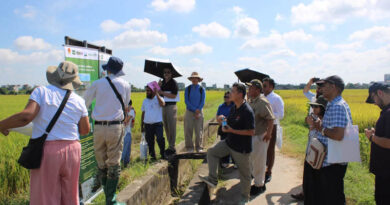 Regional Experts Explore Climate-Smart Rice–Potato Production in Vietnam Regional Experts Explore Climate-Smart Rice–Potato Production in Vietnam