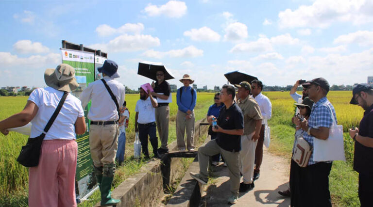 Regional Experts Explore Climate-Smart Rice–Potato Production in Vietnam