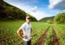 Report Exposes Exploitation Facing 1.4 Billion Food Workers