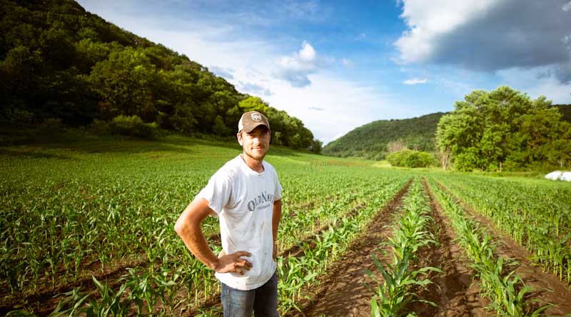 Report Exposes Exploitation Facing 1.4 Billion Food Workers