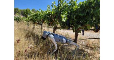 Robot Dog “Agrhound” Starts Scouting Spanish Vineyards and Berry Farms Robot Dog “Agrhound” Starts Scouting Spanish Vineyards and Berry Farms