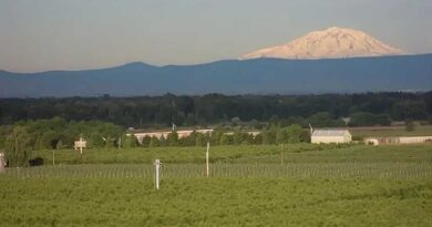 Robotics Testbed Network Backed by John Deere Expands to Washington Orchards