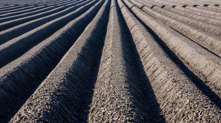Rothamsted Study Finds Reduced Tillage Beats Mulching on Emissions