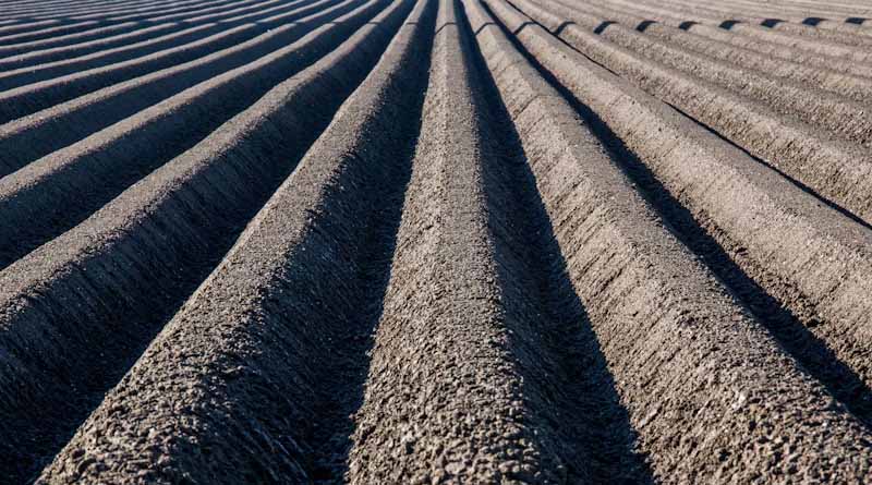 Rothamsted Study Finds Reduced Tillage Beats Mulching on Emissions