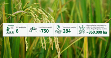 Scaling Precision Nutrient Management For A Greener Rice Future In Vietnam's Mekong Delta