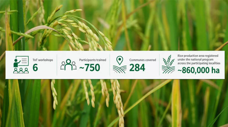 Scaling Precision Nutrient Management For A Greener Rice Future In Vietnam's Mekong Delta