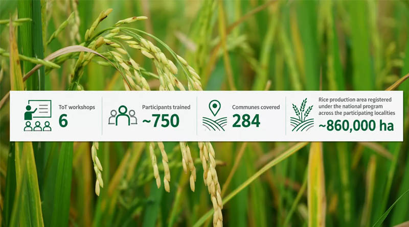 Scaling Precision Nutrient Management For A Greener Rice Future In Vietnam's Mekong Delta
