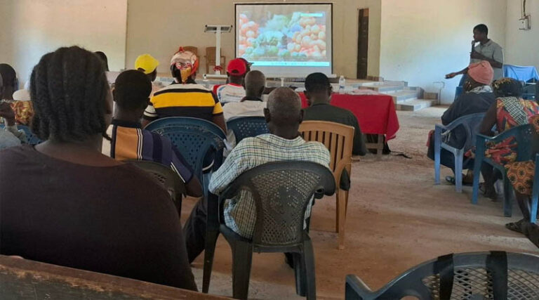 Seeing The Risk And Speaking Up Improving Pesticide Safety In Ghana