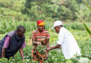 The Future Of Agricultural Extension Putting Farmers First