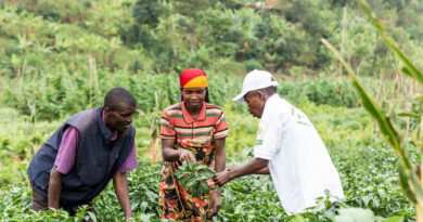 The Future Of Agricultural Extension: Putting Farmers First The Future Of Agricultural Extension Putting Farmers First