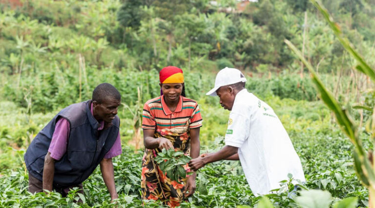 The Future Of Agricultural Extension Putting Farmers First