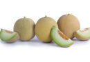 The Right Resistances Add Value For Organic Melon Growers