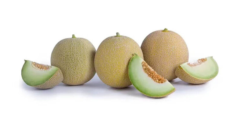 The Right Resistances Add Value For Organic Melon Growers