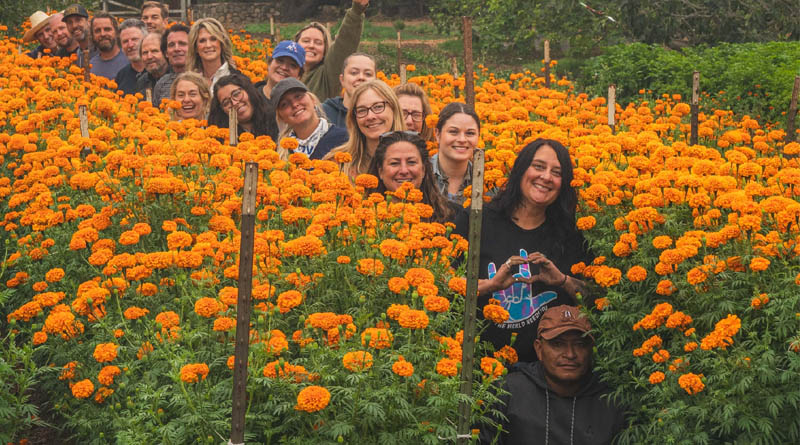 Tractor Named to the 2026 Fortune Best Workplaces in Manufacturing & Production™ List