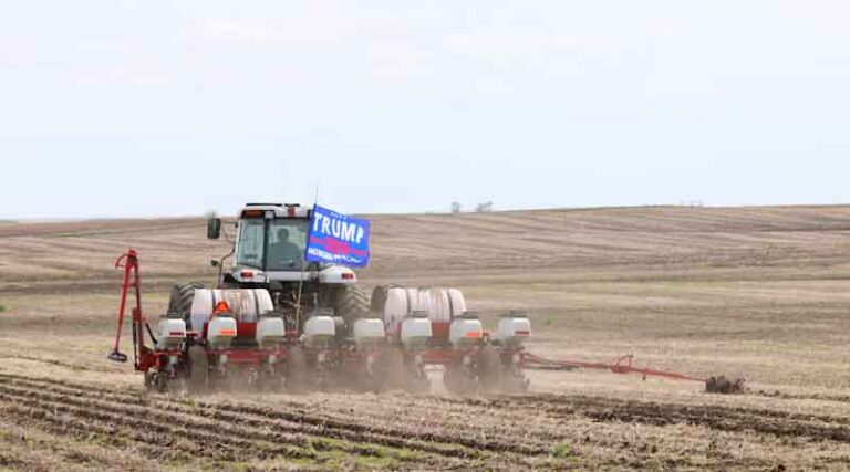 Trump's Diesel Order Brings Farmers Only Modest Relief