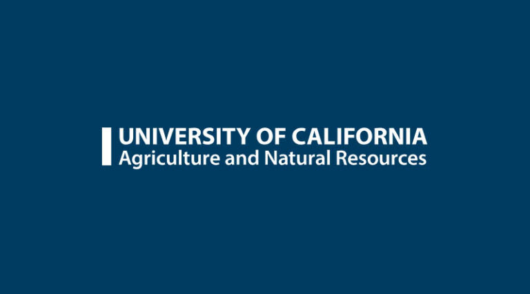 UC Trial Finds Microbial Biostimulant Boosts Bok Choy Nitrogen Uptake