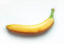 UK Clears Gene-Edited Non-Browning Banana as Precision-Bred