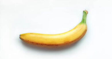 UK Clears Gene-Edited Non-Browning Banana as Precision-Bred