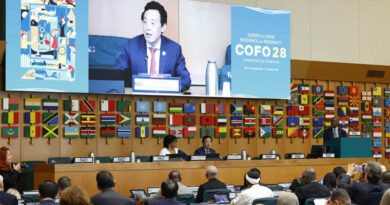 UN Decade for Afforestation and Reforestation: FAO Will Work With Members For A Greener And More Resilient Future For People And The Planet UN Decade for Afforestation and Reforestation FAO Will Work With Members For A Greener And More Resilient Future For People And The Planet